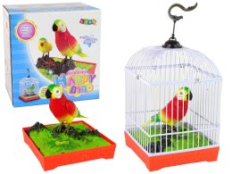 Śpiewająca Kolorowa Papuga Z Klatką