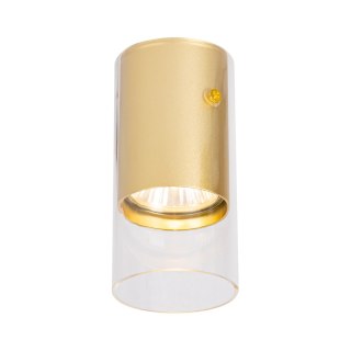 Oprawa Ricky Downlight Złoty 1xGU10