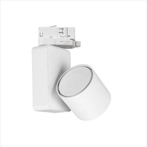 Reflektor Ojo 25W 2700/4000K Biały 3 Obwodowy