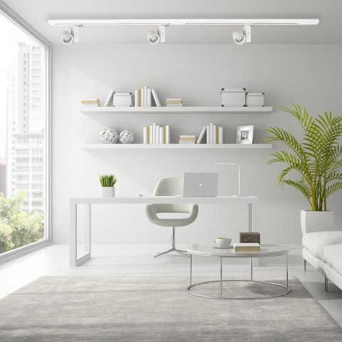 Reflektor Ojo 25W 2700/4000K Biały 3 Obwodowy