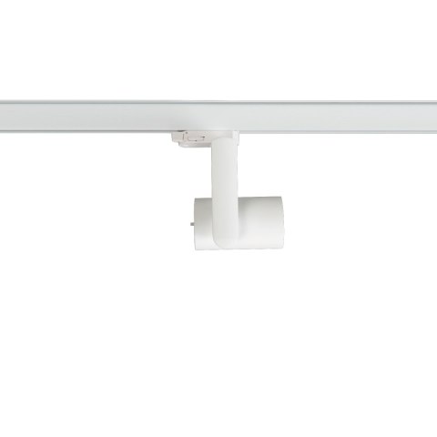 Reflektor Timor 10W 2700/4000K Biały 3 Obwodowy