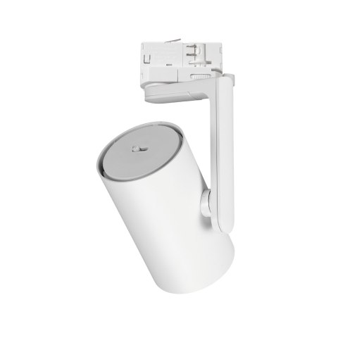 Reflektor Timor 30W 2700/4000K Biały 3 Obwodowy