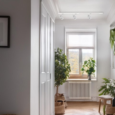 Reflektor Timor 30W 2700/4000K Biały 3 Obwodowy