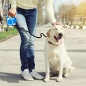 Smycz automatyczna zwijana dla psa kota z blokadą latarką LED do 15 kg 5 m - niebieska