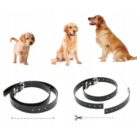 Elektroniczna obroża treningowa dla psa z pilotem 800 m