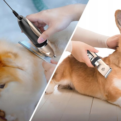 Golarka maszynka do strzyżenia psów zwierząt akumulatorowo sieciowa 4 nasadki