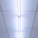 Świetlówka PREMIUM LED 6,5W 1100lm 6500K 60cm 5 LAT GWARANCJI