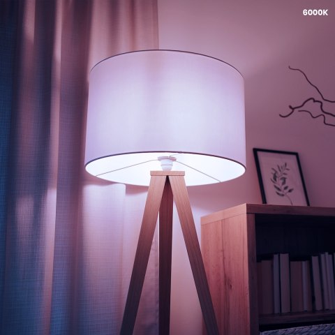 Żarówka LED 5W E14 G45 6000K