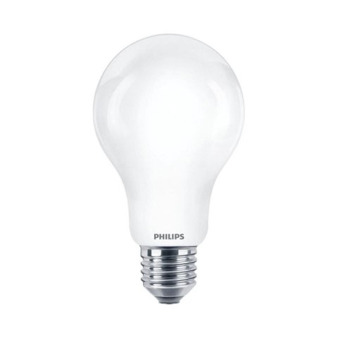 Żarówka LED E27 17,5W 2700K A67