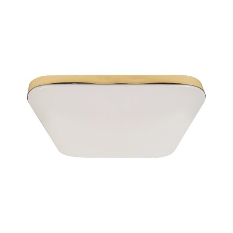 Plafon NEMO GOLD 17W LED