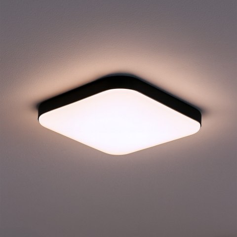 Plafon Nemo Czarny 11W LED