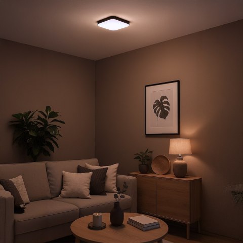 Plafon Nemo Czarny 11W LED