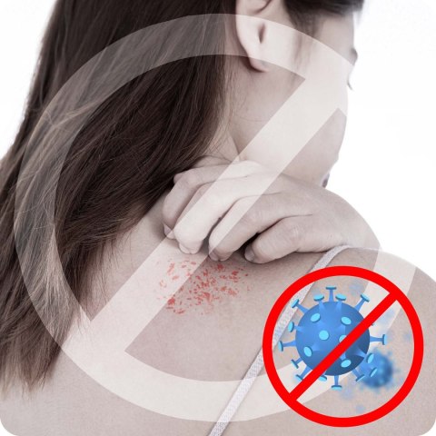 Parownica do ubrań 1600 W steamer Berdsen BD-311