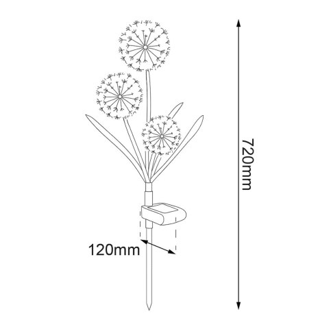 Lampka Solarna Garlic Color RGB IP44