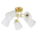 Lampa sufitowa PAFOS GOLD 5xE27
