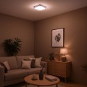 Plafon NEMO CHROME 17W LED