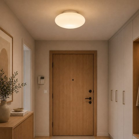 Lampa sufitowa Robin 11W LED