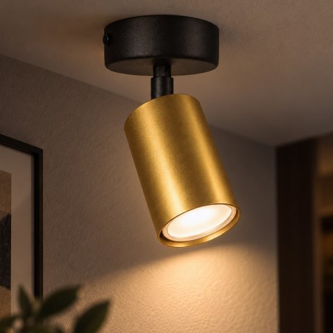 Kinkiet Hudson 1xGU10 Czarno-Złoty