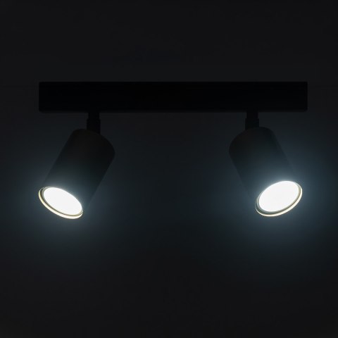 Lampa sufitowa Hudson 2xGU10 Czarno-Złoty