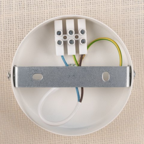Lampa sufitowa / kinkiet Carter 1xE14 Biały