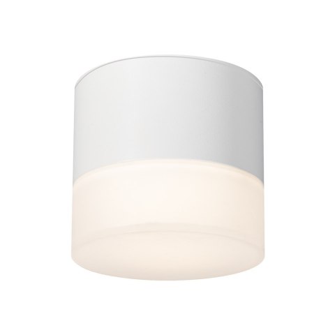 Downlight Dino 1xGx53 IP44 Biały