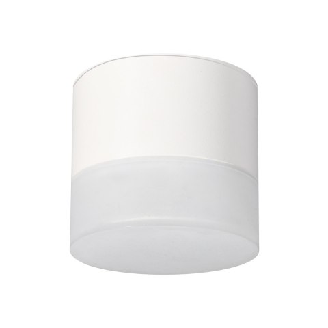 Downlight Dino 1xGx53 IP44 Biały