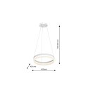 LAMPA WISZĄCA RING 24W LED