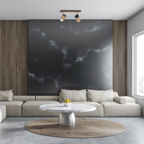 Lampa sufitowa BARON BLACK 2xGU10 Lampa sufitowa BARON BLACK 2xGU10