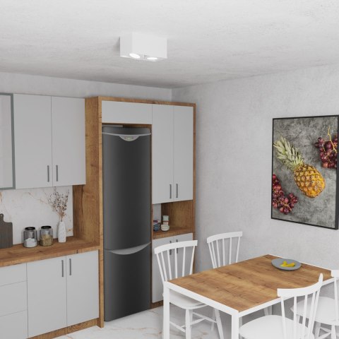 Oprawa Natynkowa Plaza 2xGU10 AR111 Biały