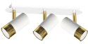 Lampa sufitowa DANI WHITE/GOLD 3xGU10