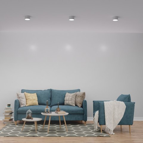 Lampa sufitowa Dixie 1xGX53 Biały