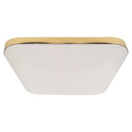 Plafon NEMO GOLD 17W LED