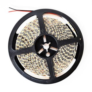 Taśma Led Premium 120/m 4000K IP65 5m